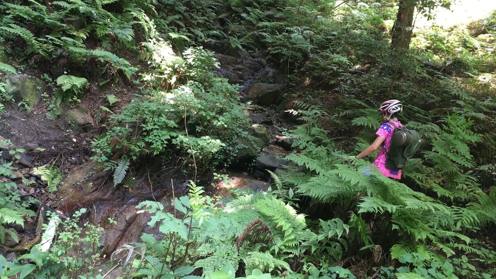 早川翔人|※Mt.Hokyo